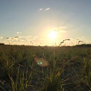 Meet your Posher, Blake